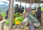 Satgas Yonif 757/GV Borong Hasil Tani Warga Intan Jaya, Bukti Nyata Kepedulian TNI untuk Papua Tengah